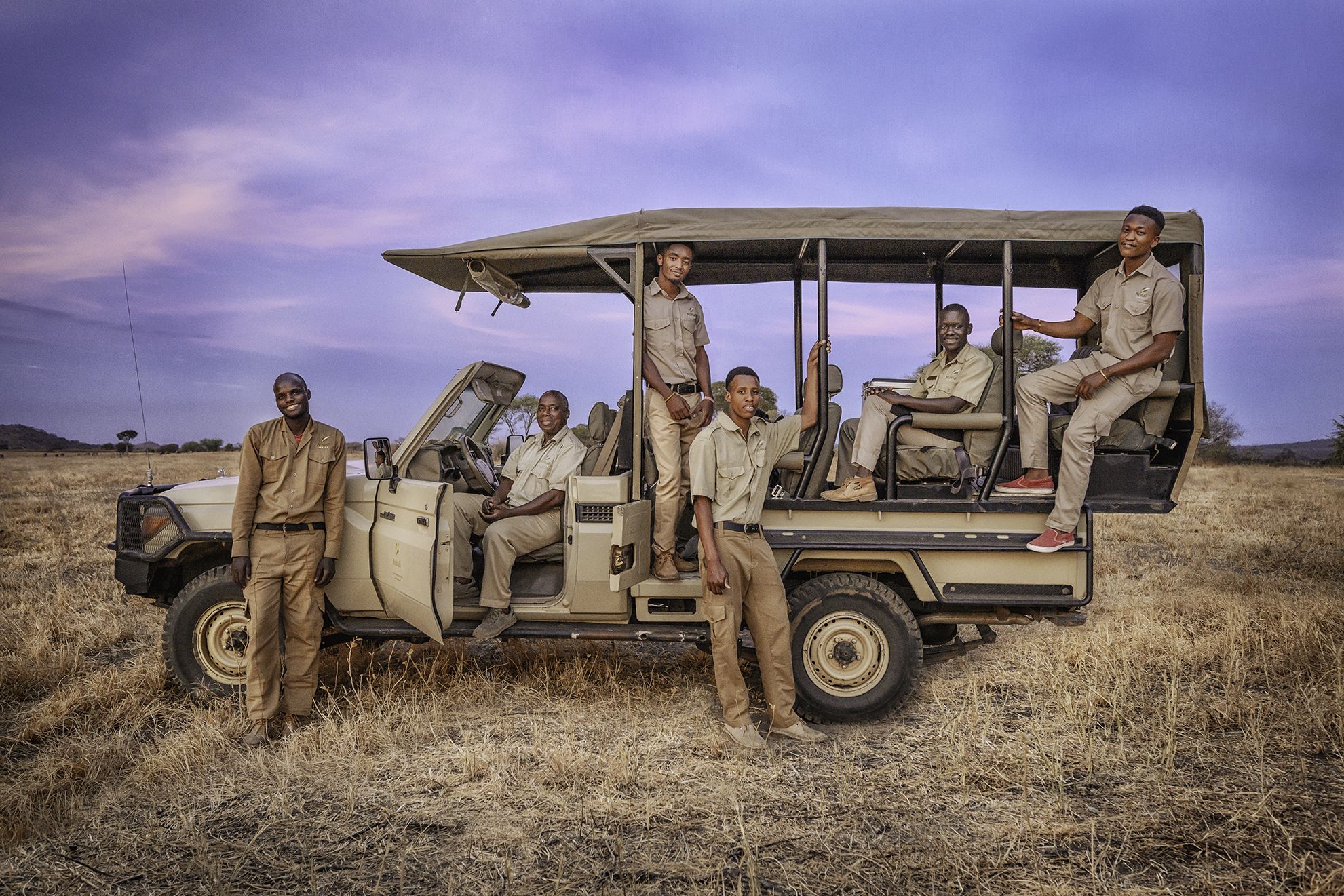 brown tree on surrounded by brown grass during golden hour